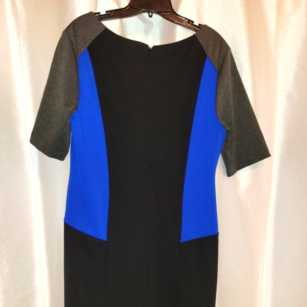 Dana Buchman Dress with royal blue inset panels